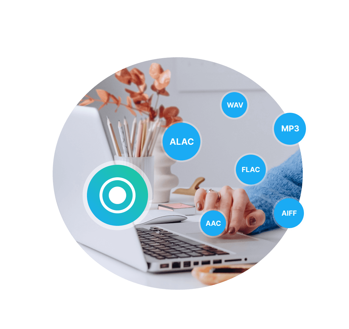 Download Videos from Over 15 Websites